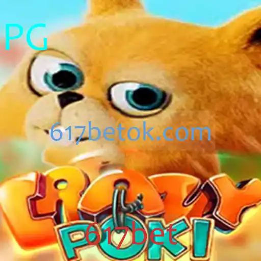 Explorando CrazyPoki: Um Guia Completo sobre o Jogo e as Regras